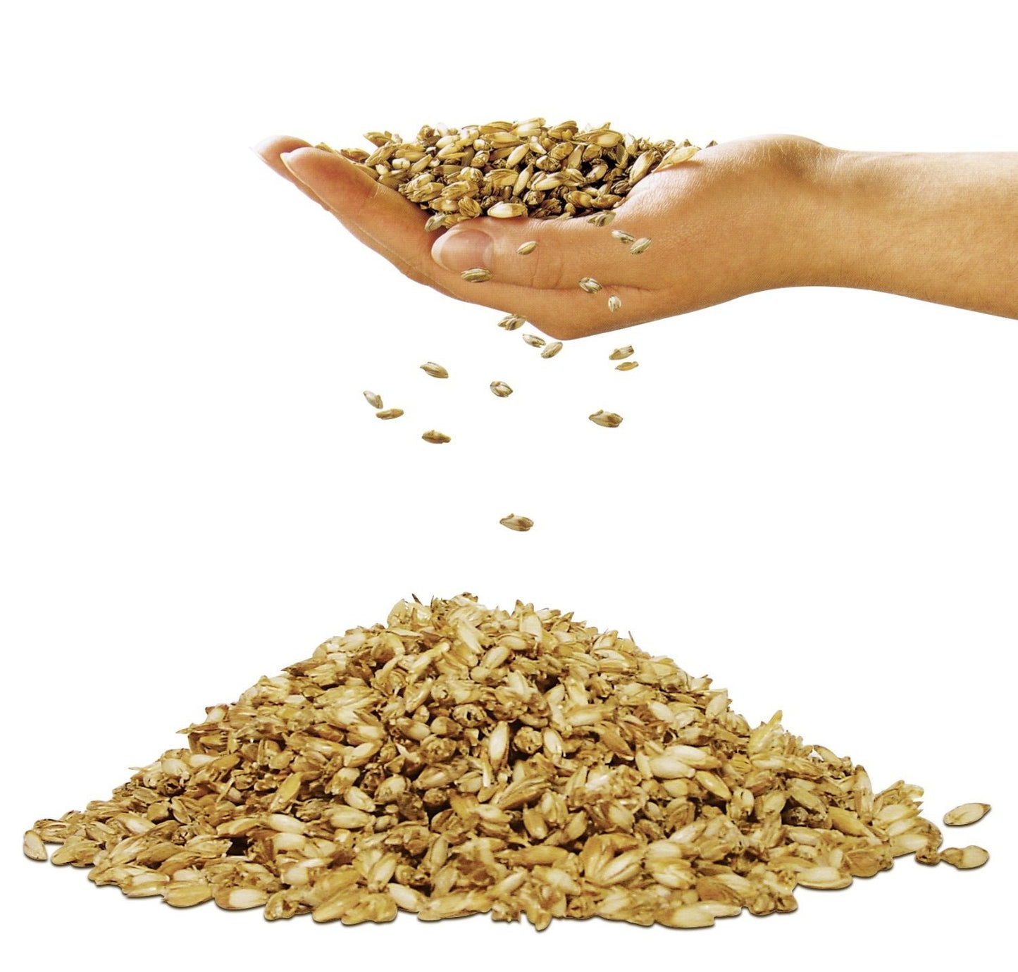 F.a.n. Sleep & Care Dinkelkissen