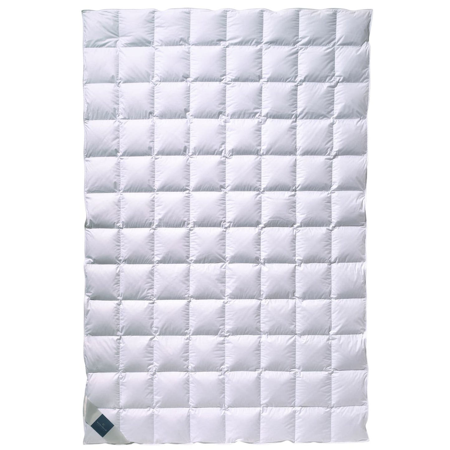 Billerbeck Nena 100% Daunendecken Klasse 1