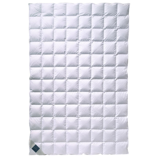 Billerbeck Nena 100% Daunendecken Klasse 1